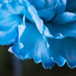 如何顺利完成天辰娱乐注册,获取更多优惠福利 26gh10cp2z