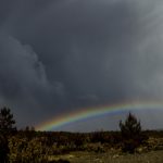 如何通过龙珠体育直播获取最新体育资讯与赛事分析 9h1rg