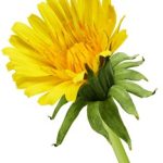 如何顺利完成利澳国际注册的详细步骤与注意事项 b7pp9e