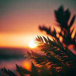 如何通过水仙直播提升你的园艺技能与知识 bh00qt