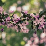 开云体育最新app功能解析:如何提升你的观赛体验? j3j44k2