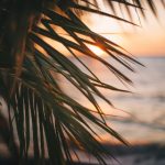 如何顺利访问奇异果体育平台入口,畅享精彩赛事直播 rn3m9j