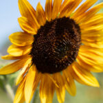 25567期最新开奖结果已公布,速来查看中奖详情 rra1saal