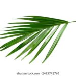 24直播网官网高清体育赛事在线观看平台 xriapi9